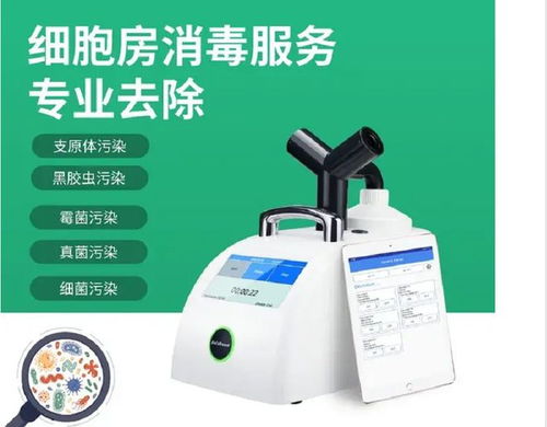 生物实验室细胞培养间的污染防控与专业消毒服务