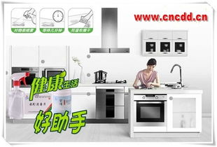 专业除霉与消毒服务 九行牌除霉剂的卓越应用